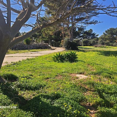 Sogni Nel Blu Favignana Exterior foto