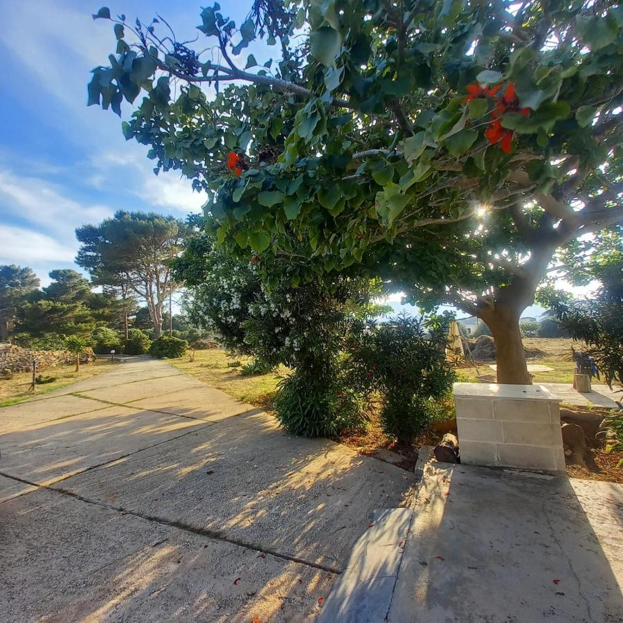 Sogni Nel Blu Favignana Exterior foto