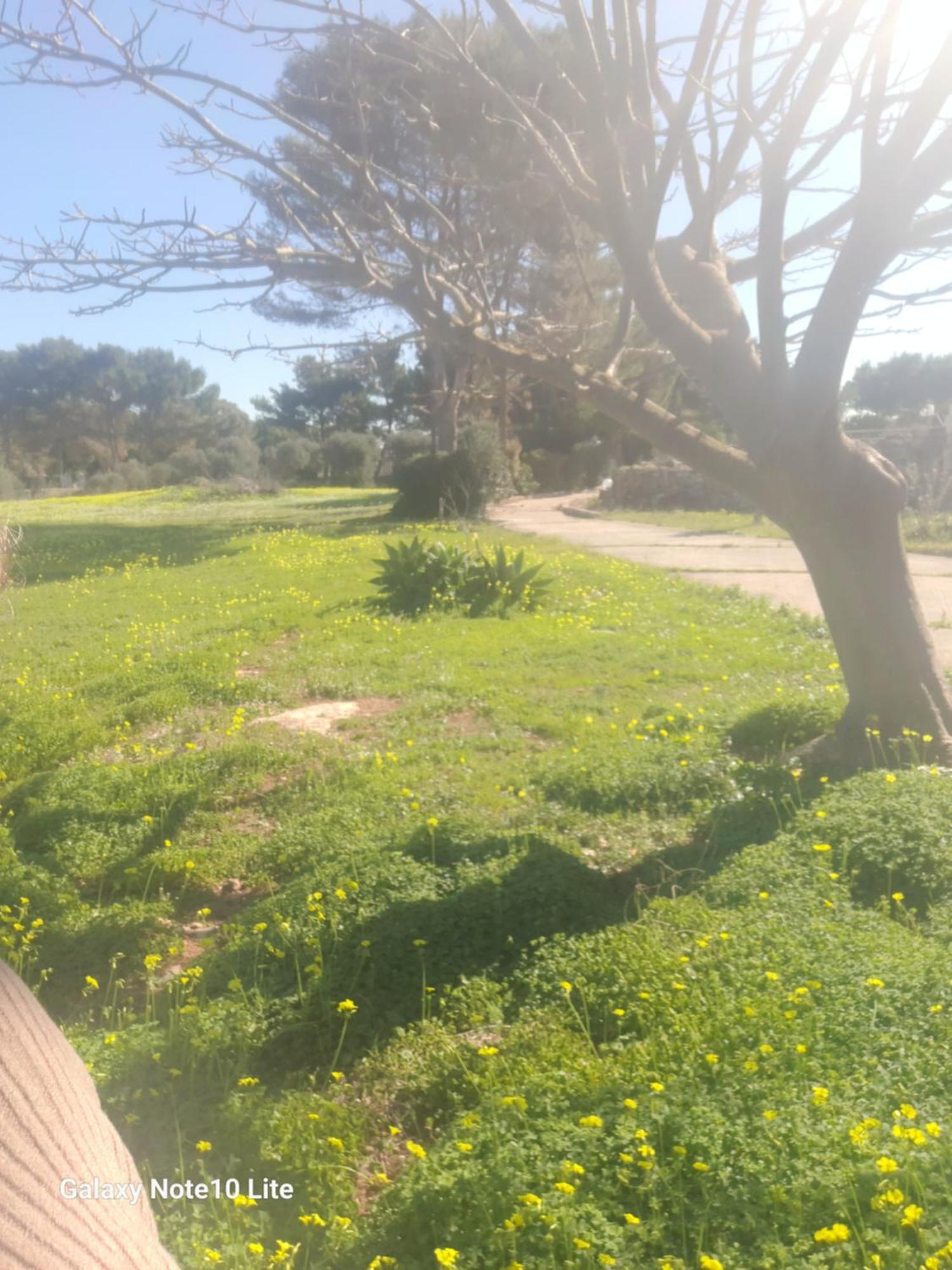 Sogni Nel Blu Favignana Exterior foto
