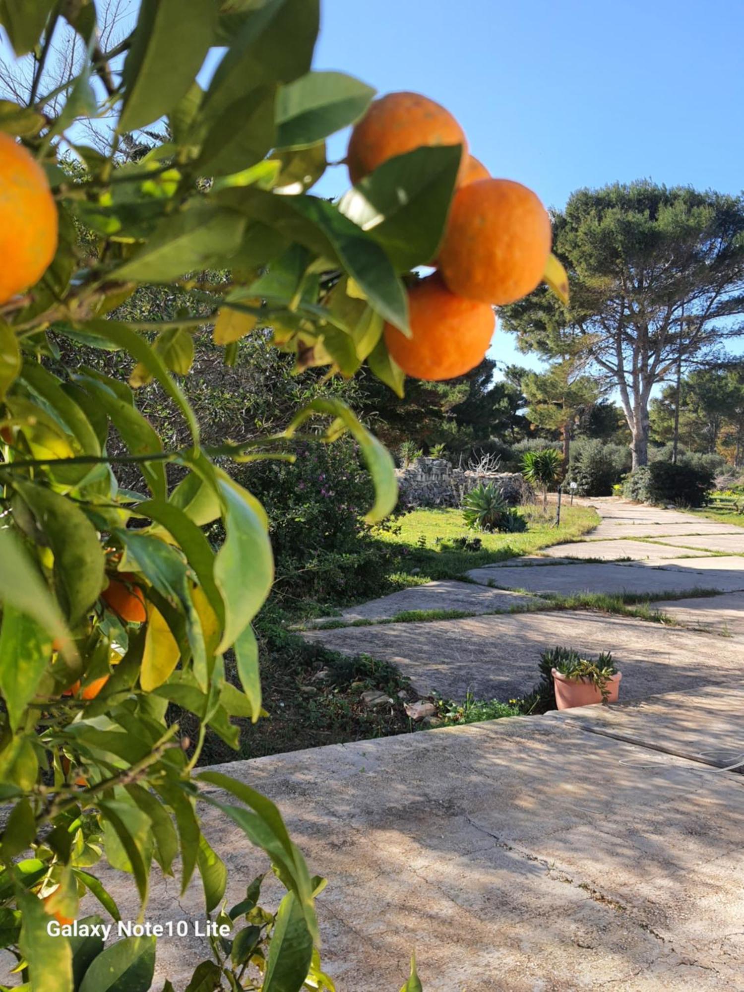 Sogni Nel Blu Favignana Exterior foto